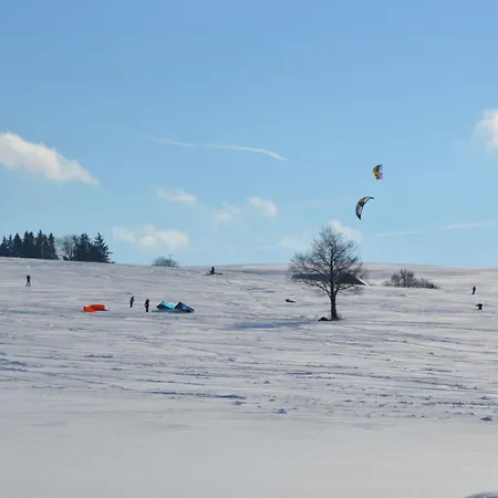Schoenmetzler Daire *